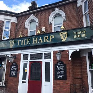 The Harp Freehouse And Guesthouse